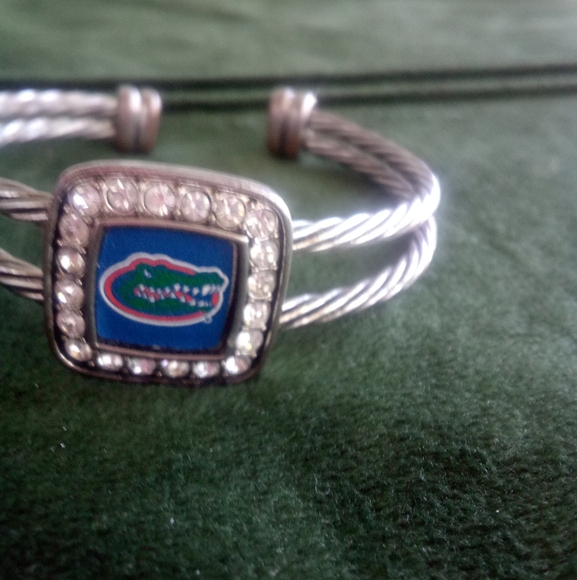 UF Gators Silver Twisted Bracelet with Logo And Crystal Diamonds Sterling Plated - Picture 3 of 8